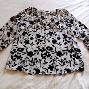 Sheer  Adrienne Vittadini Blouse